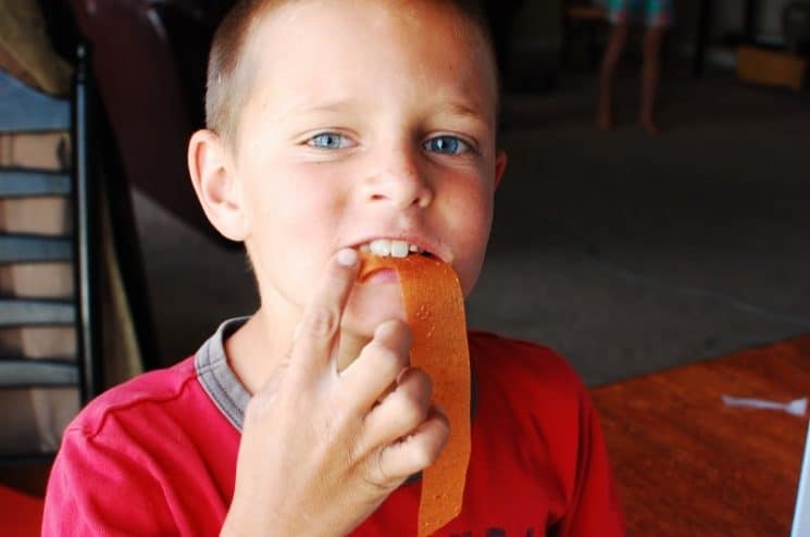 Kids enjoy eating Homemade Fruit By The Foot.